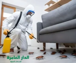 شركة مكافحة حشرات بالمنطقة الشرقية
