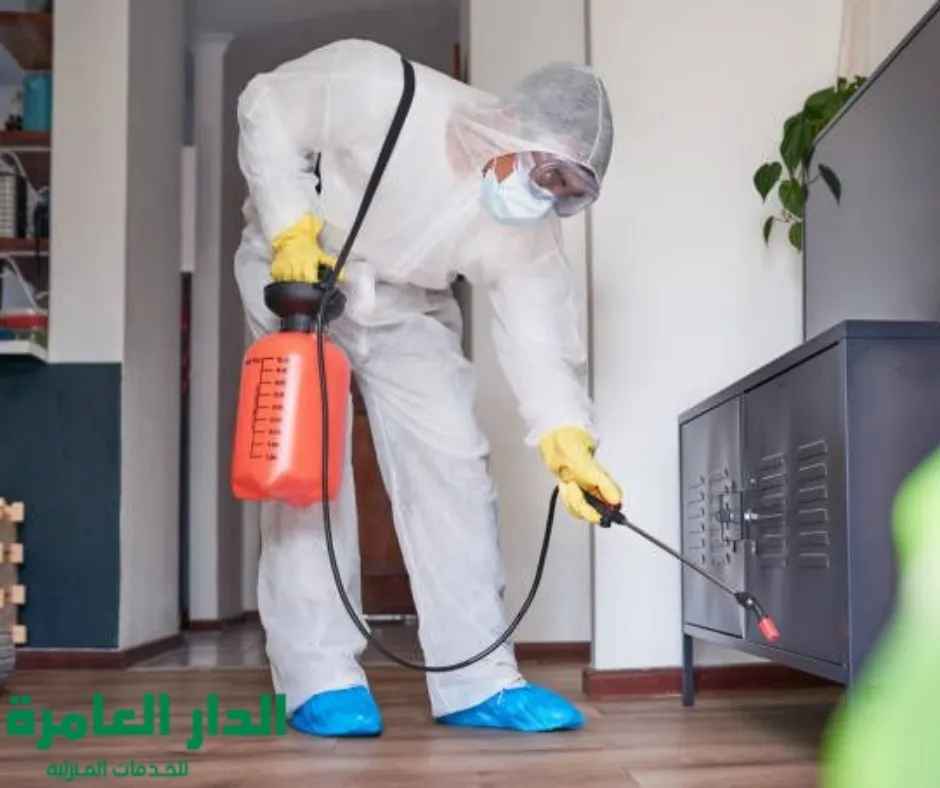 شركة مكافحة حشرات بالمنطقة الشرقية